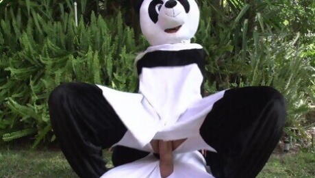 Panda Style: Behind the Bamboo - Nicole Aniston, Kimmy Granger, Bridgette B